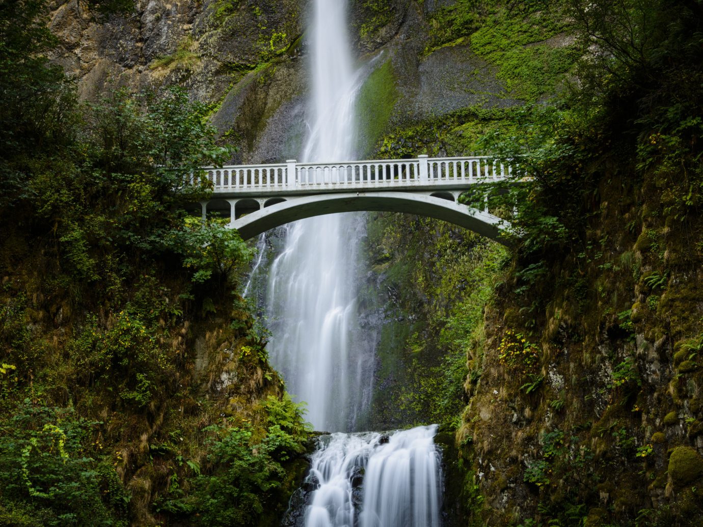 multnomah falls